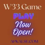 W33 Game