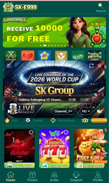 SK E999 Game