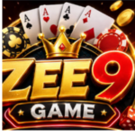 ZEE9 game